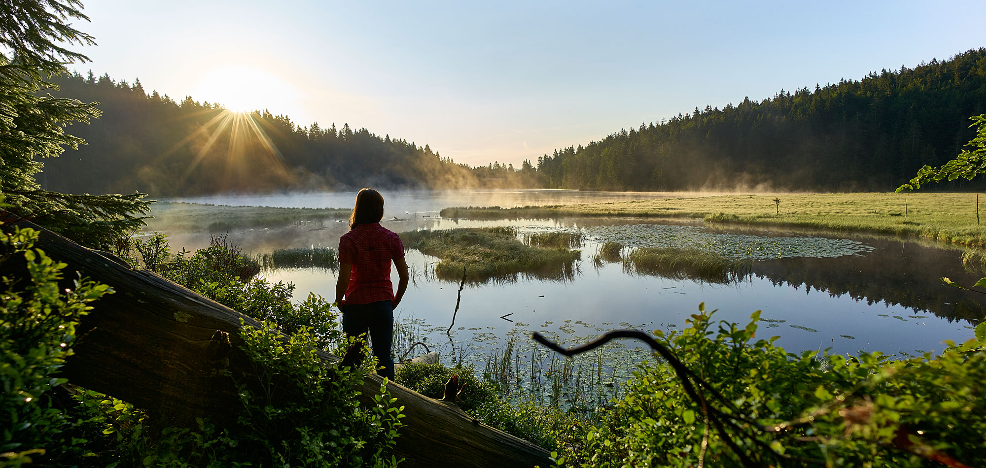 Wandern im Bayerischen Wald
