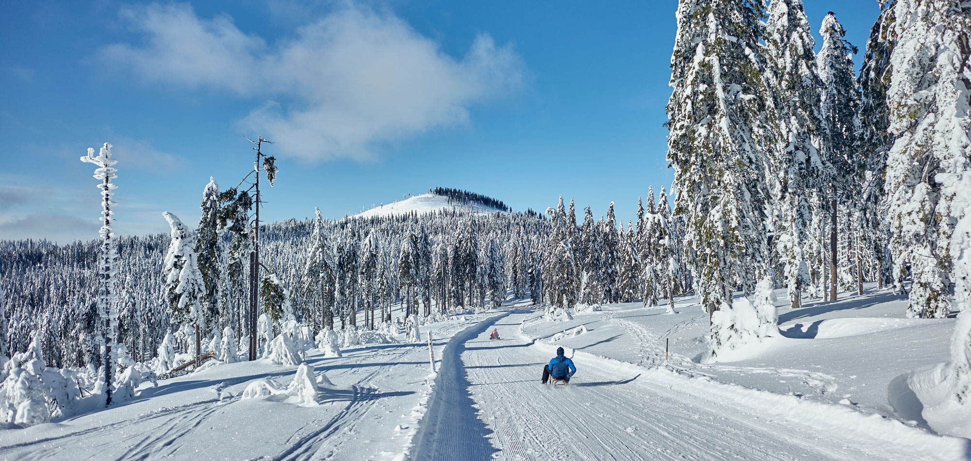 Schlittenfahren im Bayerischen Wald